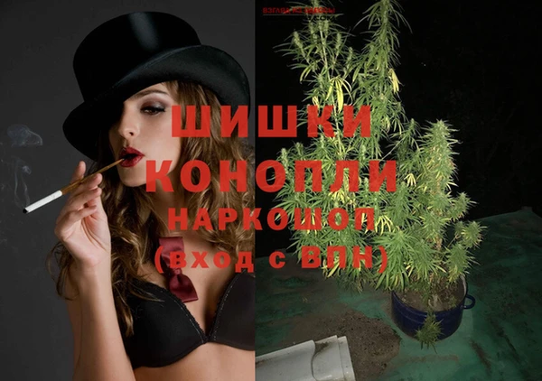 ешки Няндома
