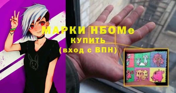 гидра Киселёвск