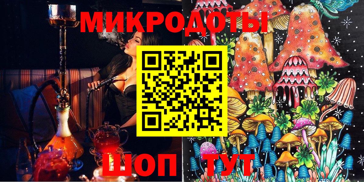 Псилоцибиновые грибы MAGIC MUSHROOMS  Кингисепп  Псилоцибиновые грибы Psilocybe 