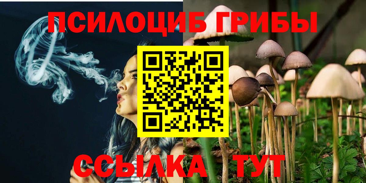 Псилоцибиновые грибы GOLDEN TEACHER  Галлюциногенные грибы мицелий  Кингисепп  Вход с VPN 