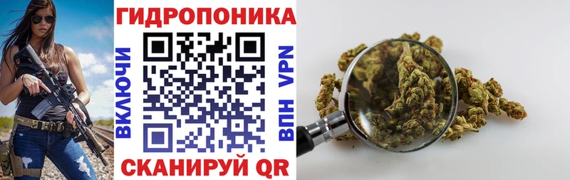 Канабис AK-47  продажа наркотиков  Кингисепп 